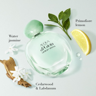Giorgio Armani Acqua Di Gioia Eau De Parfum 100ml