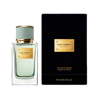 Dolce & Gabbana Velvet Infusion Eau De Parfum 100ml