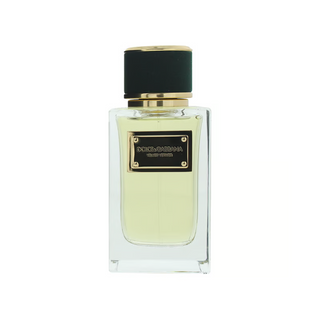Dolce & Gabbana Velvet Vetiver Eau De Parfum 100ml