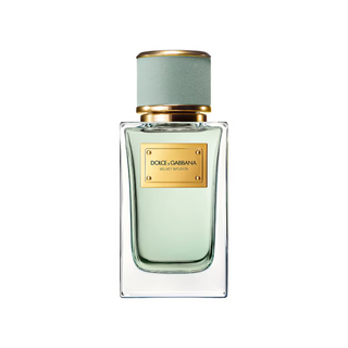 Dolce & Gabbana Velvet Infusion Eau De Parfum 100ml