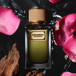 Dolce & Gabbana Velvet Tender Oud Eau De Parfum 100ml