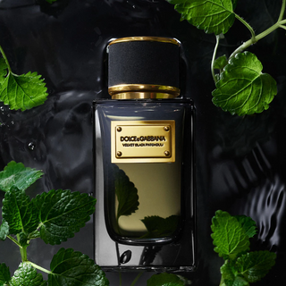 Dolce & Gabbana Velvet Black Patchouli Eau De Parfum 100ml