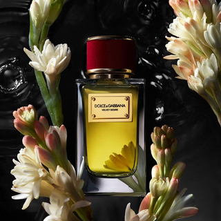 Dolce & Gabbana Velvet Desire Eau De Parfum 100ml