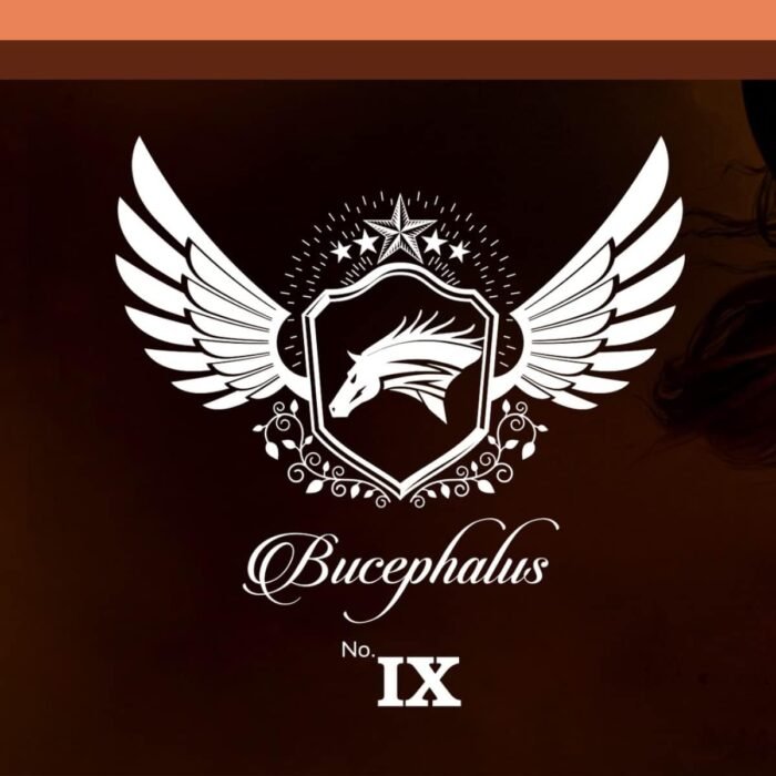 Bucephalus No. IX - Image 5
