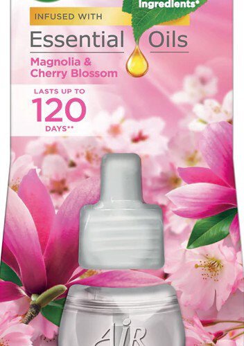 Magnolia and Cherry Blossom