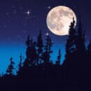 Midsummer's Night